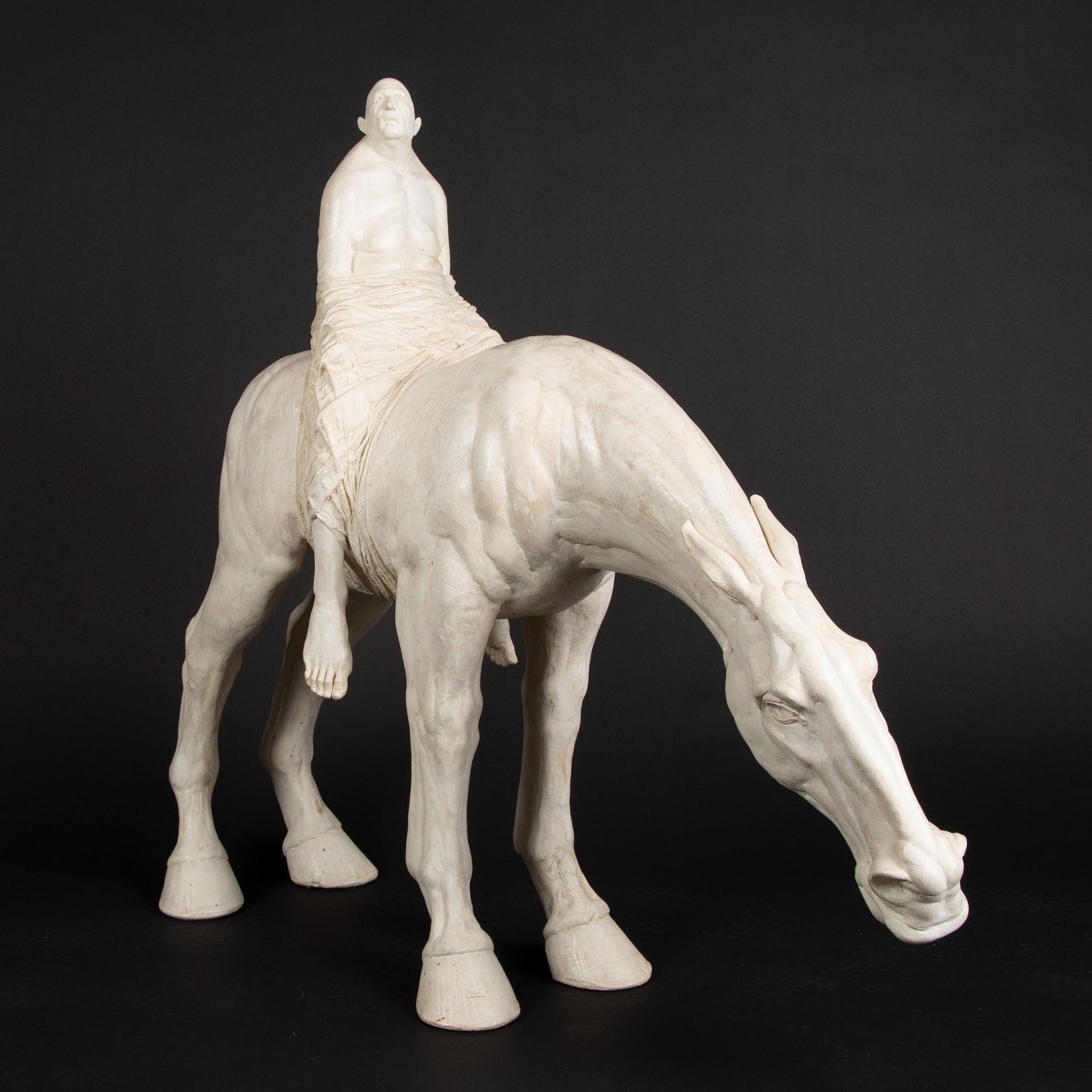 David Robinson (1964) - Equestrian