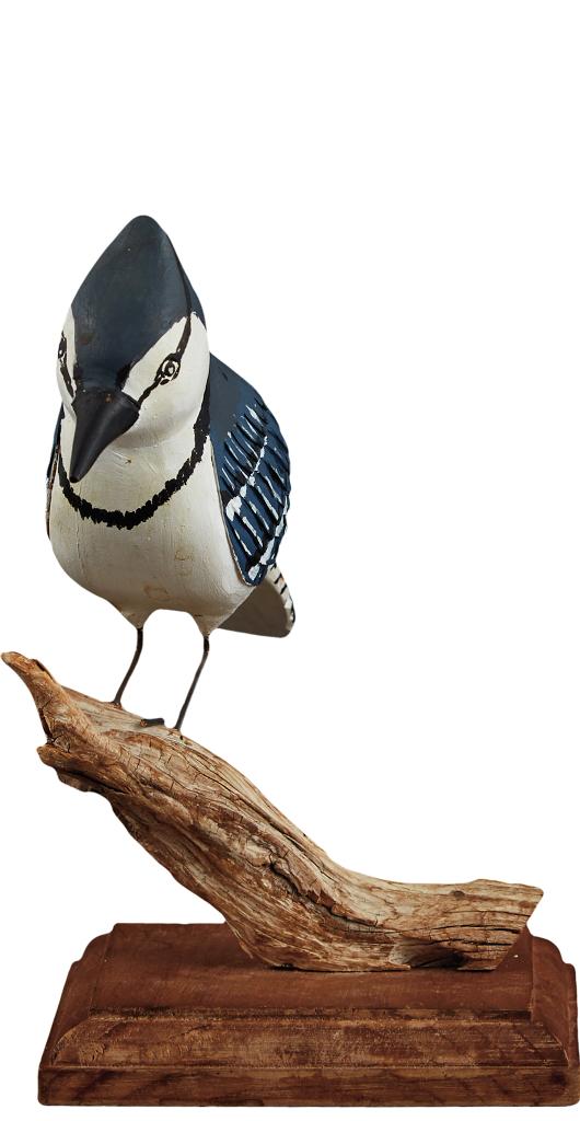 Clement Belliveau - Blue Jay