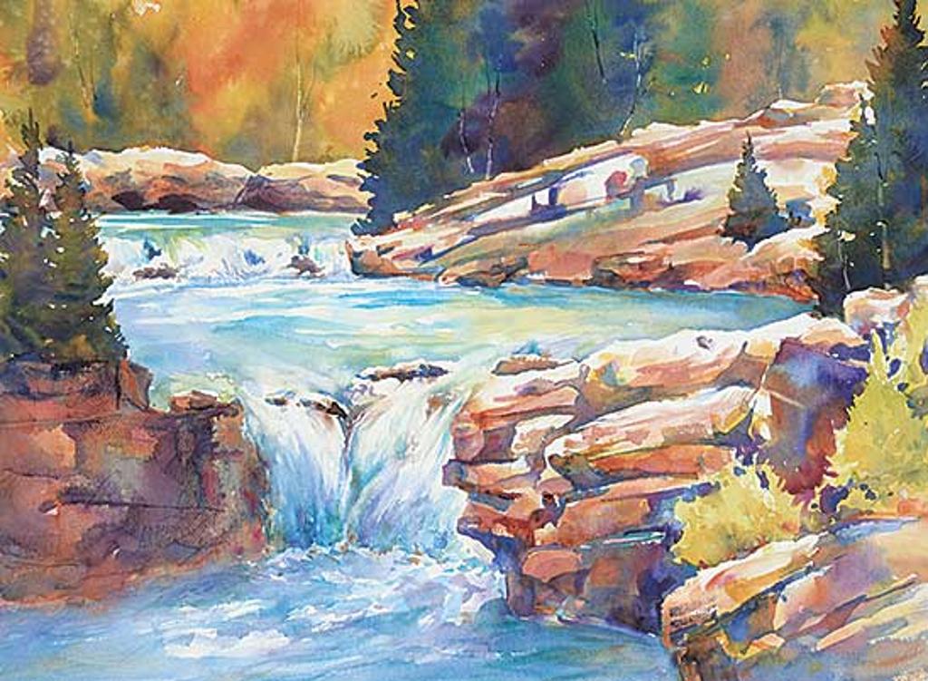 Sharon Lynn Williams (1954) - Elbow Falls Splendor