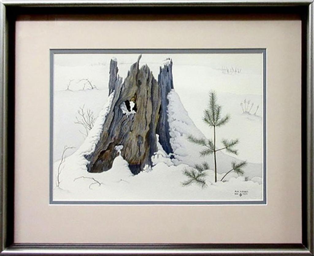 Michael H. Cleary (1930-2013) -