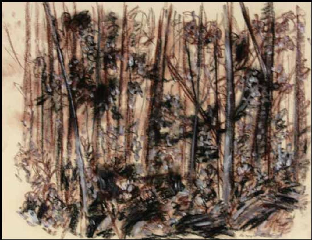 Ronald L. (Ron) Myren (1937-2003) - Untitled D35 (00061/2013-T538)