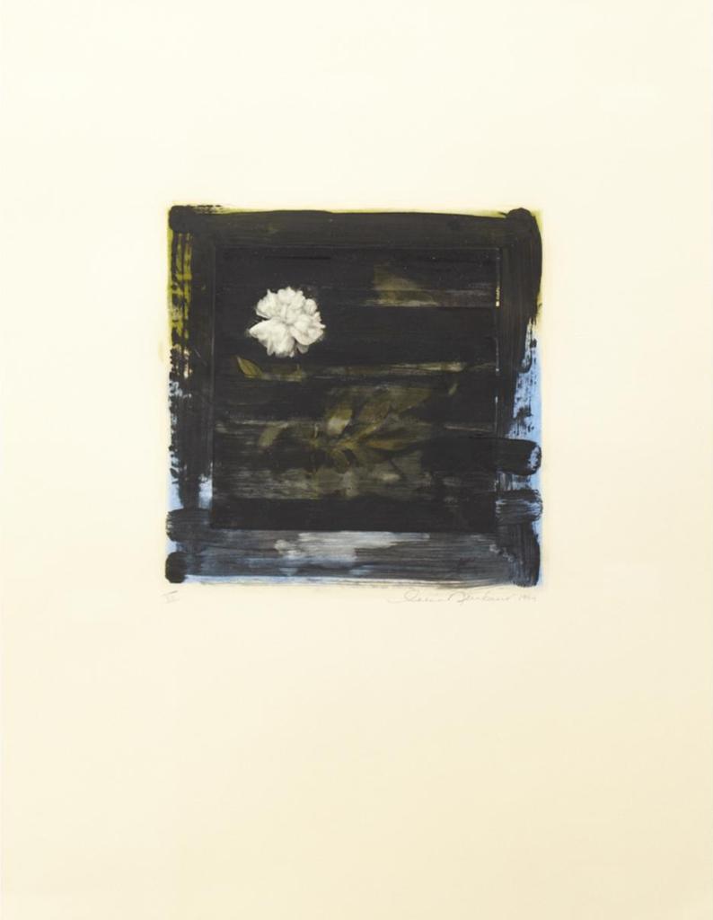 Celia Neubauer - Vii