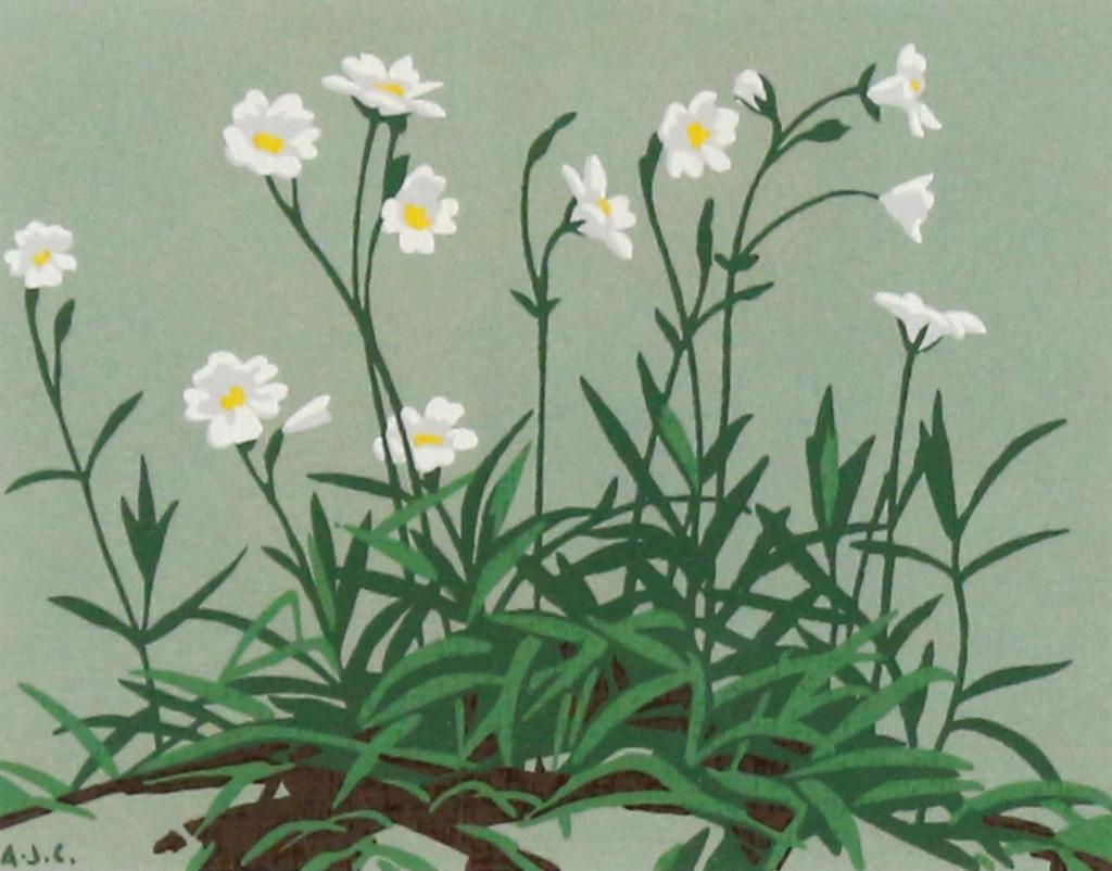 Alfred Joseph (A.J.) Casson (1898-1992) - White Wildflowers
