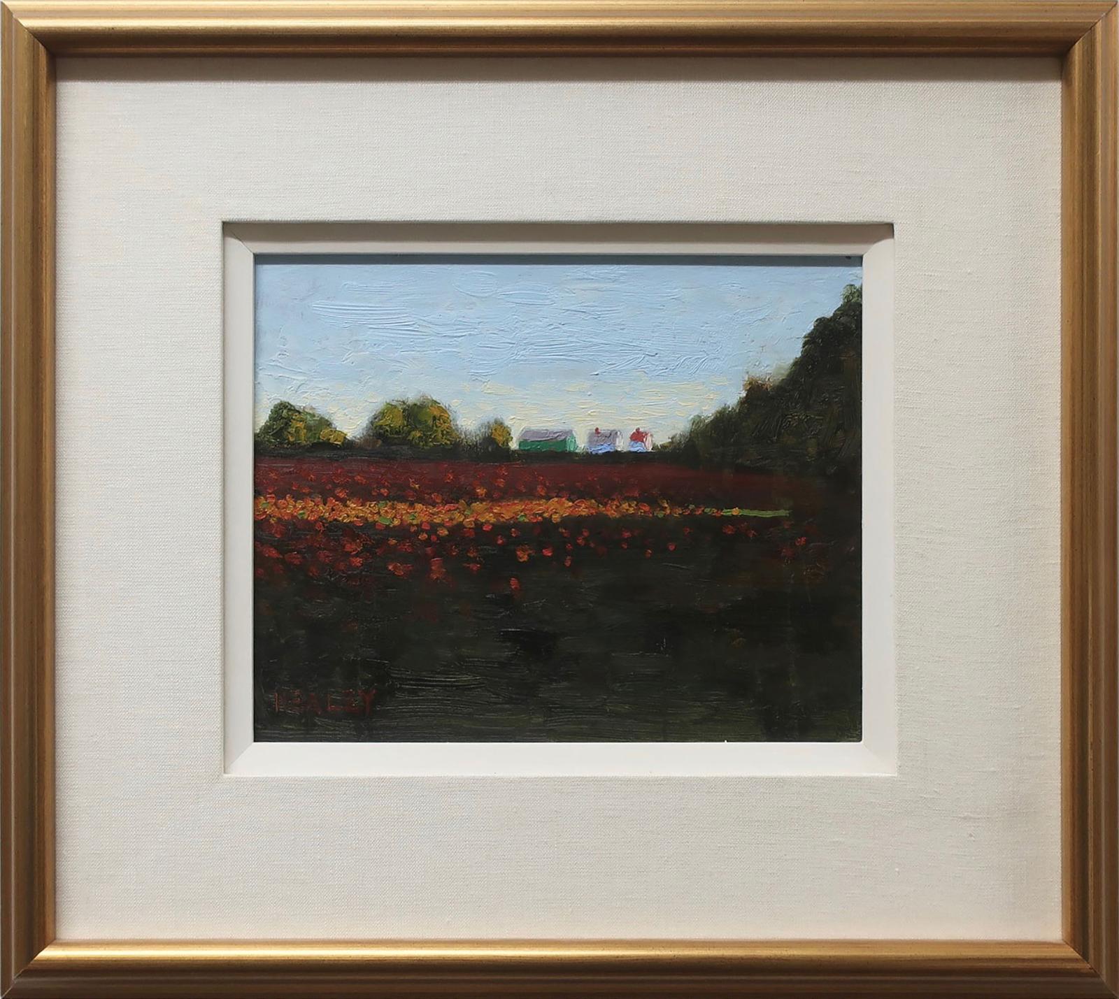 Paul Healey (1964) - The Pumpkin Field