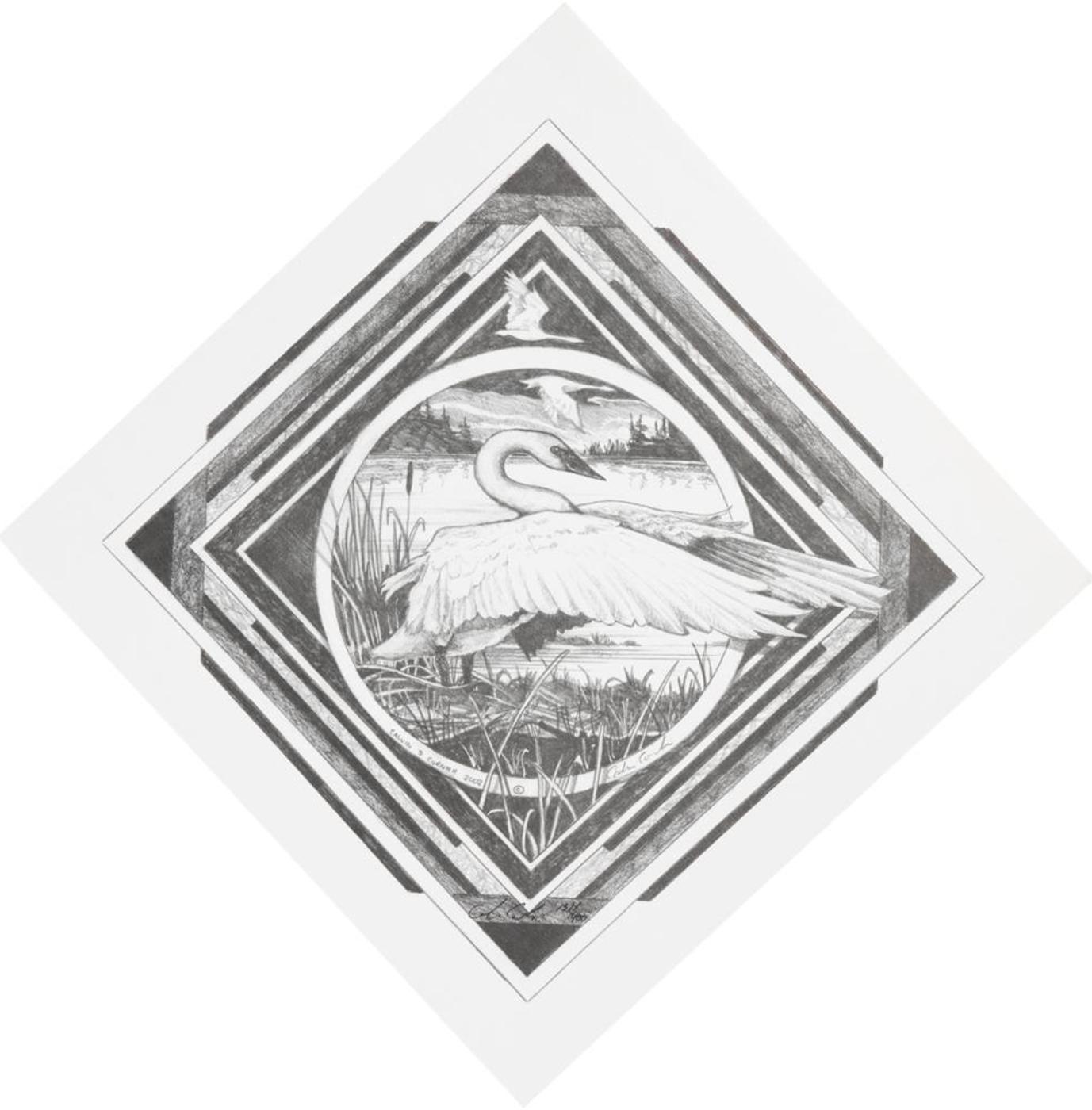 Calvin Cornish - Swan