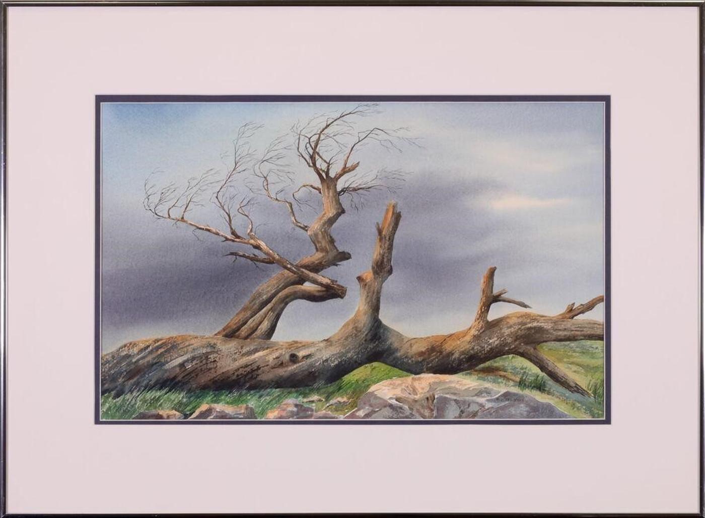 Pat Mogford - The Burmis Tree