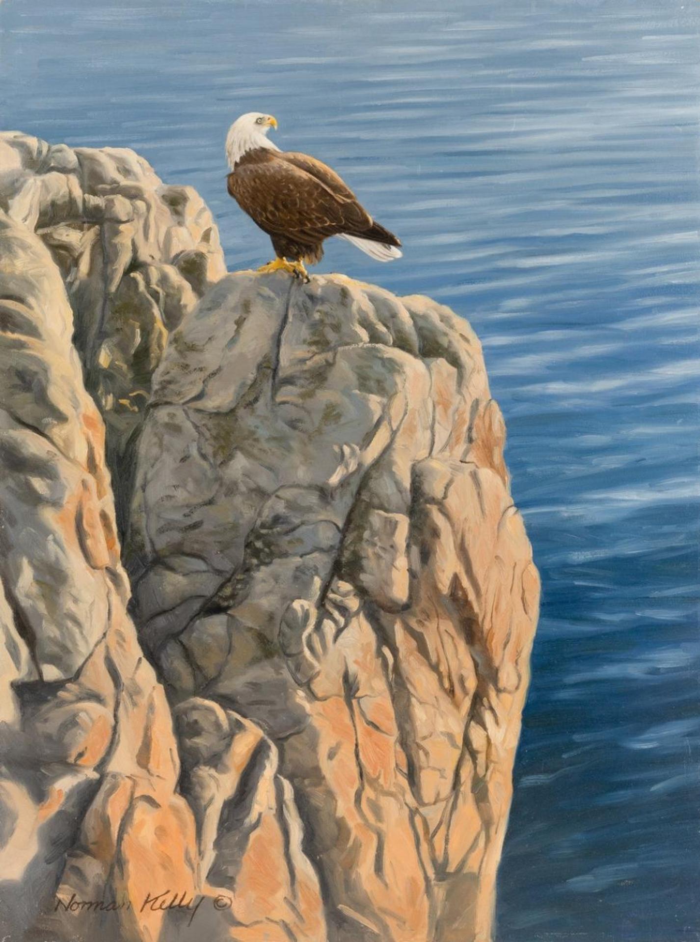Norman Kelly (1939) - Bald Eagle - Rocky Perch