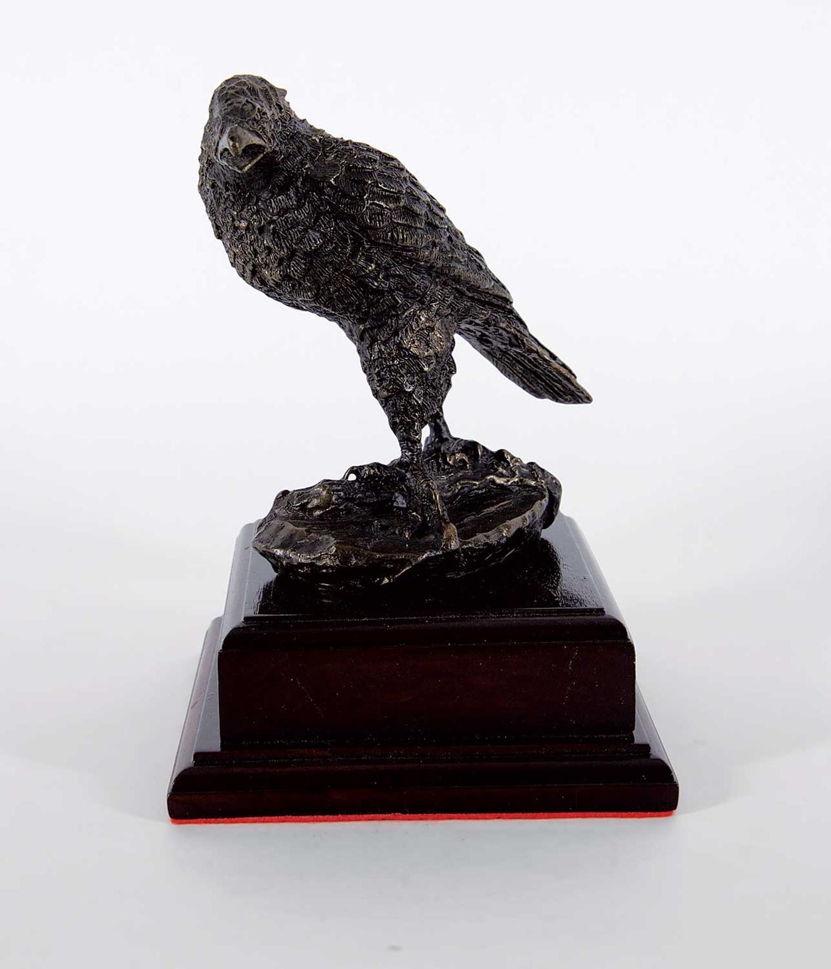 Wally Shoop - Untitled - Juvenile Eagle #1/25