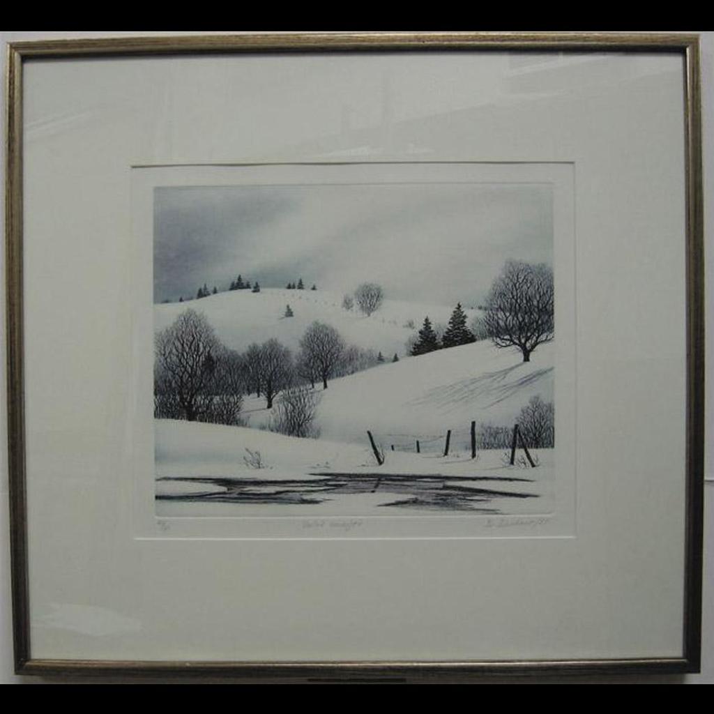 Darryl Duchene (1953) - Vallee En Vegee
