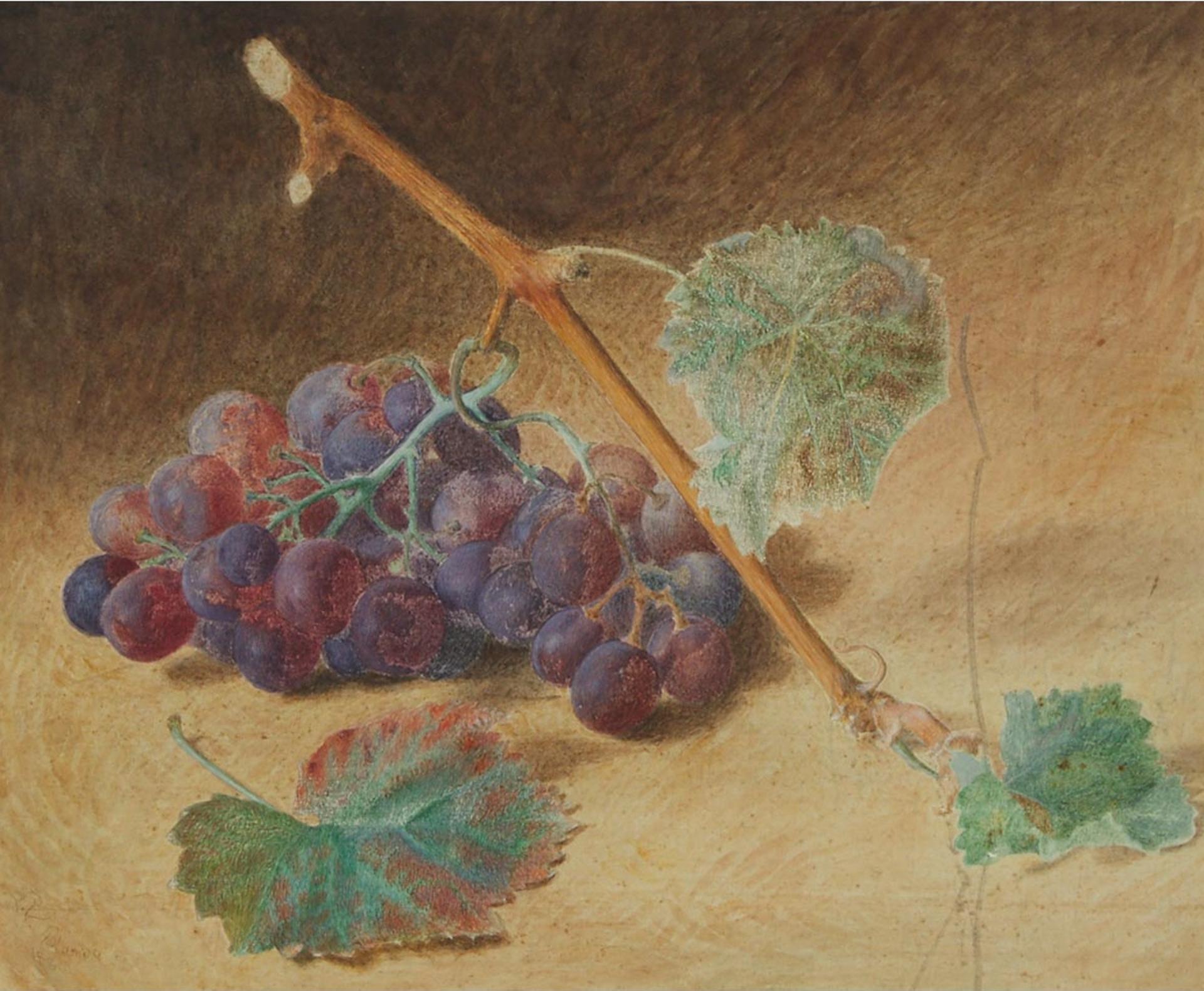 Miss L. V. (Or U) Blandy - GRAPES, 1880