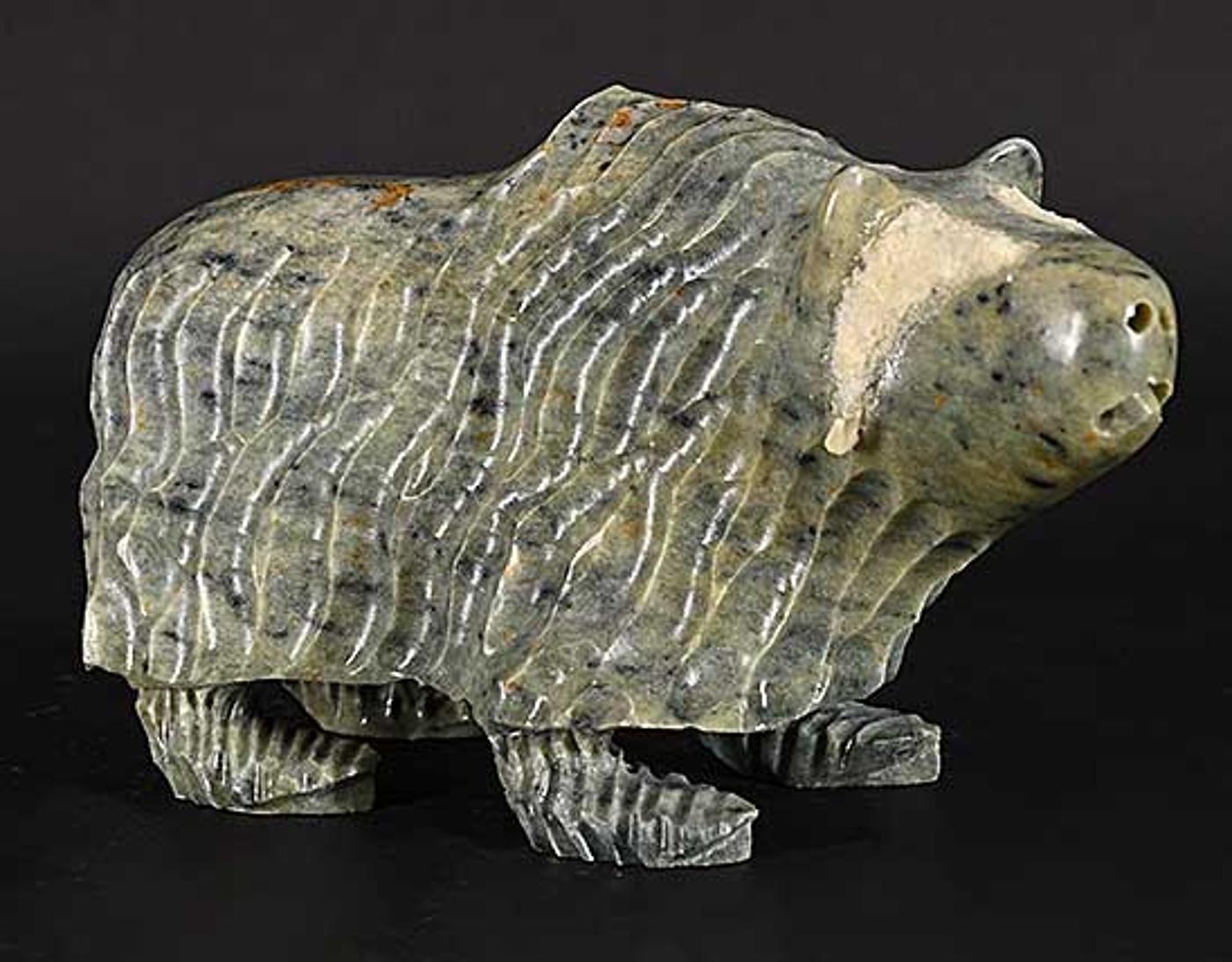 Ernest (Ernie) Raymond - Musk-Ox