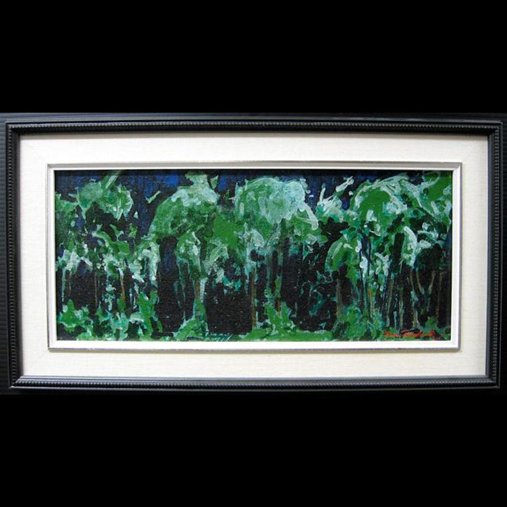 Paul (Johnston) Rodrik (1945-1983) - Music Of The Woods