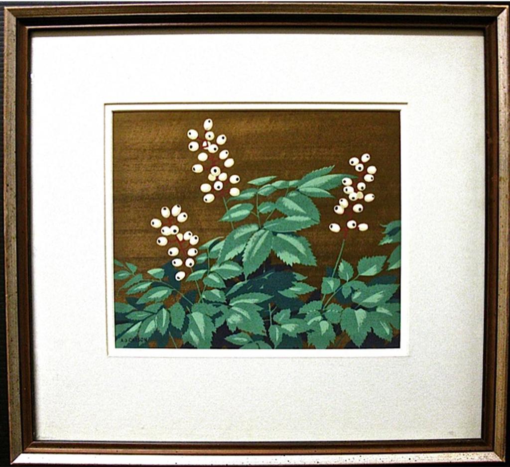 Alfred Joseph (A.J.) Casson (1898-1992) - White Baneberry