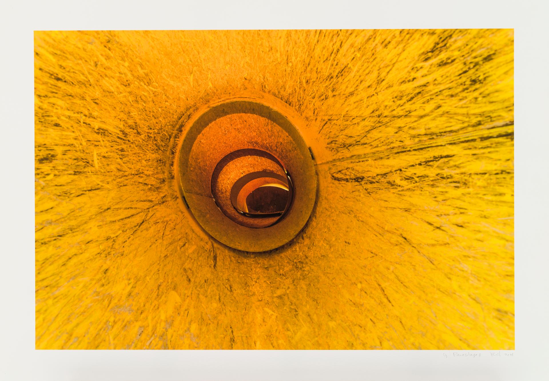 Philippe Allard - Parasitages, 2014