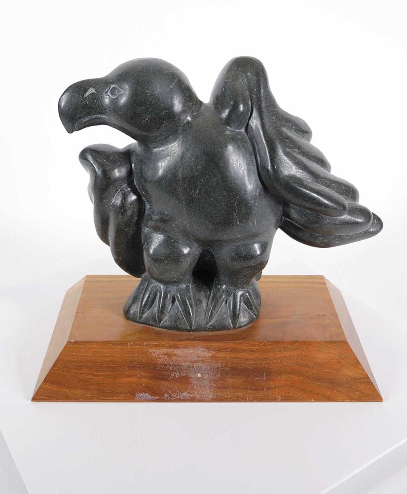 Nungusuituq - Untitled - Bird