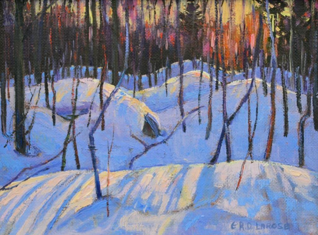 Roger D. Larose - Silent Forest