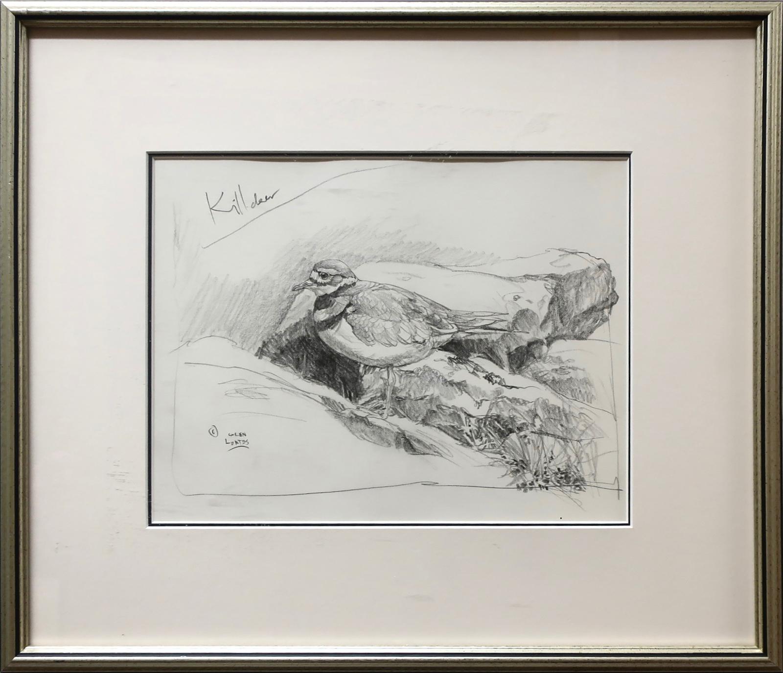 Glen Loates (1945) - Killdeer