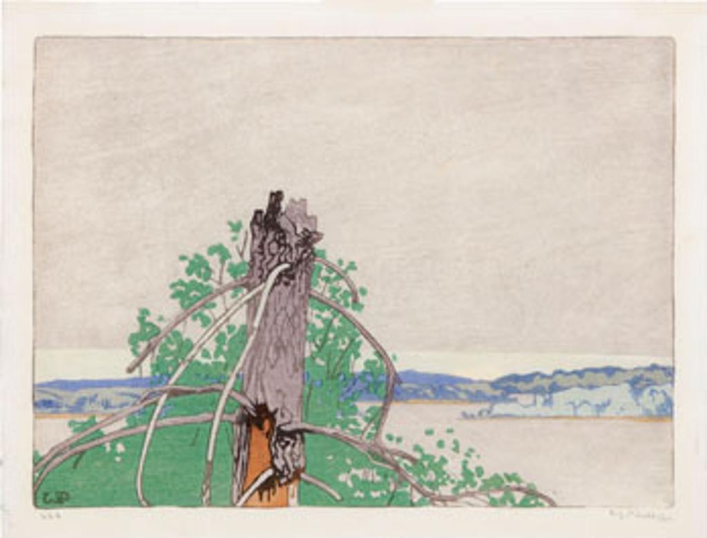 Walter Joseph (W.J.) Phillips (1884-1963) - The Stump - Lake of the Woods