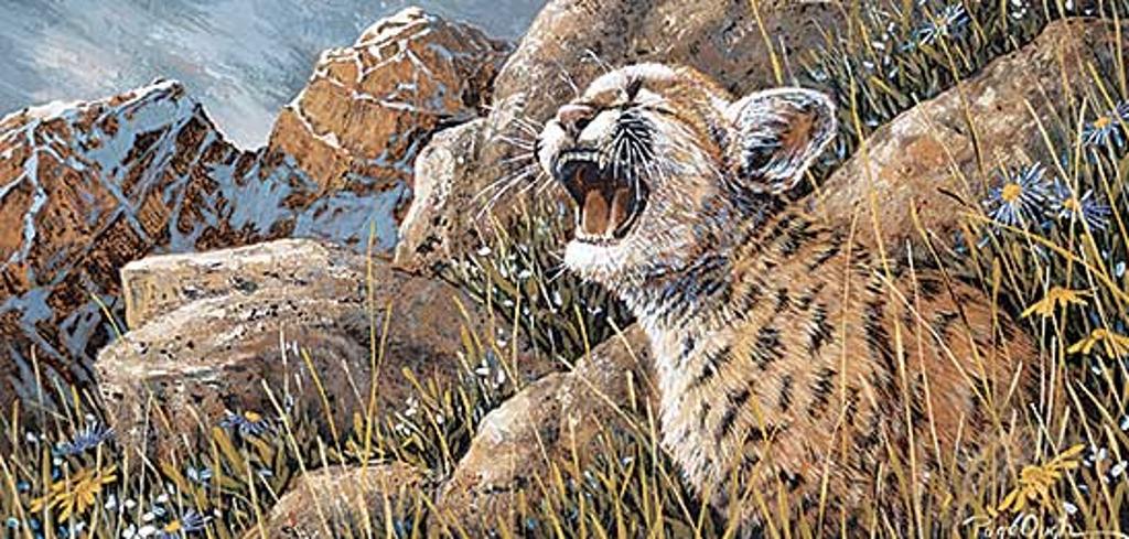 Page Ough (1946) - Child of the Rockies - Cougar Kitten