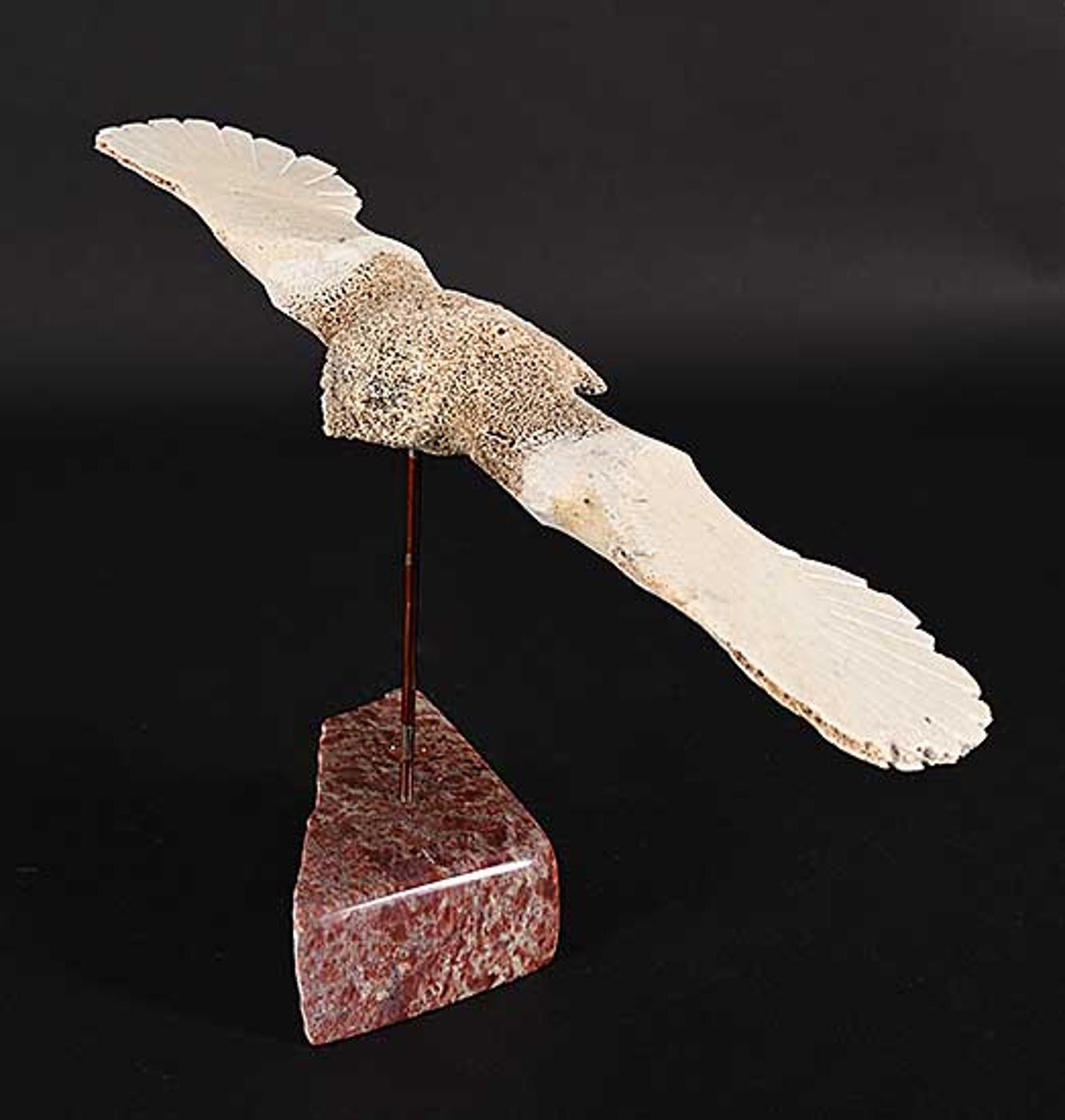 Joe Ashoona (1988) - Owl
