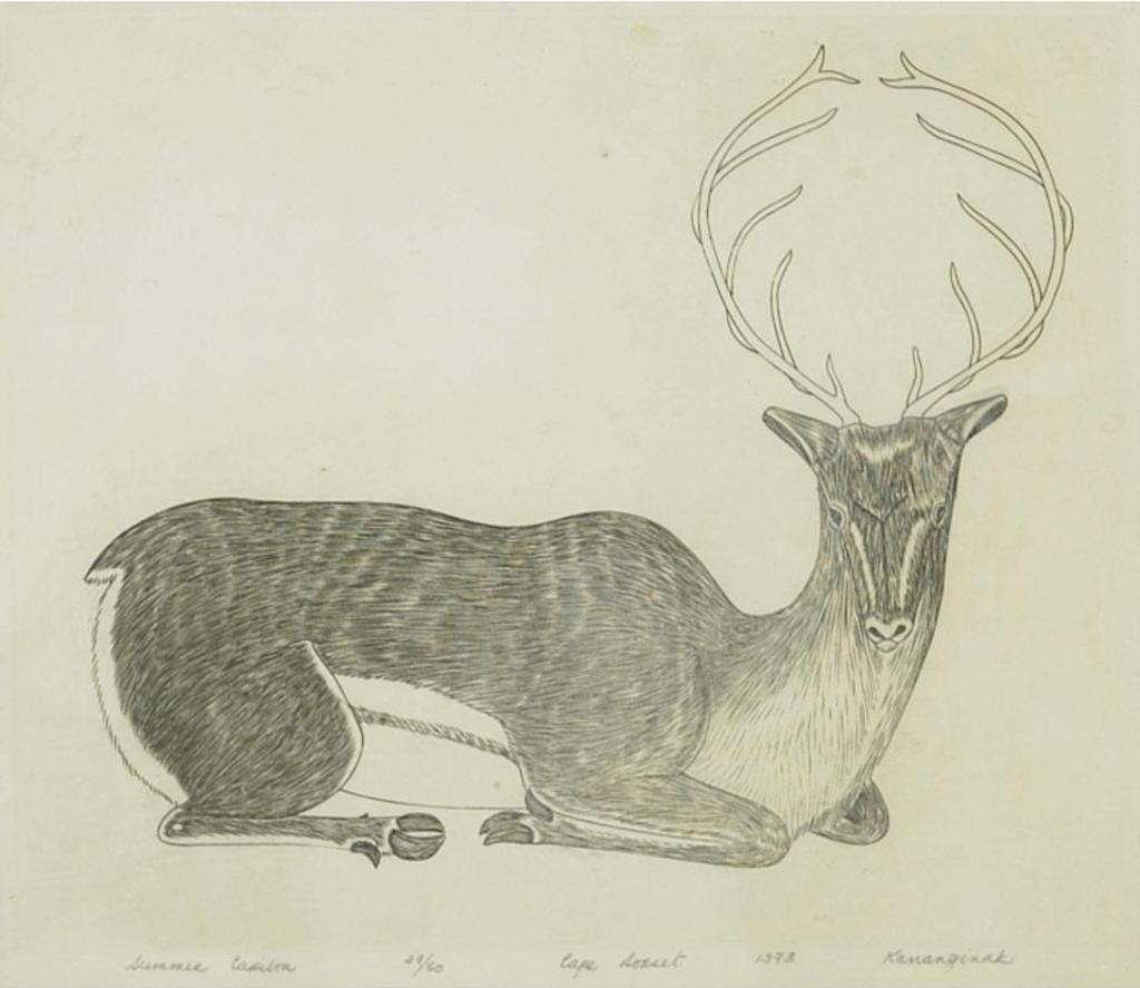 Kananginak Pootoogook (1935-2010) - Summer Caribou