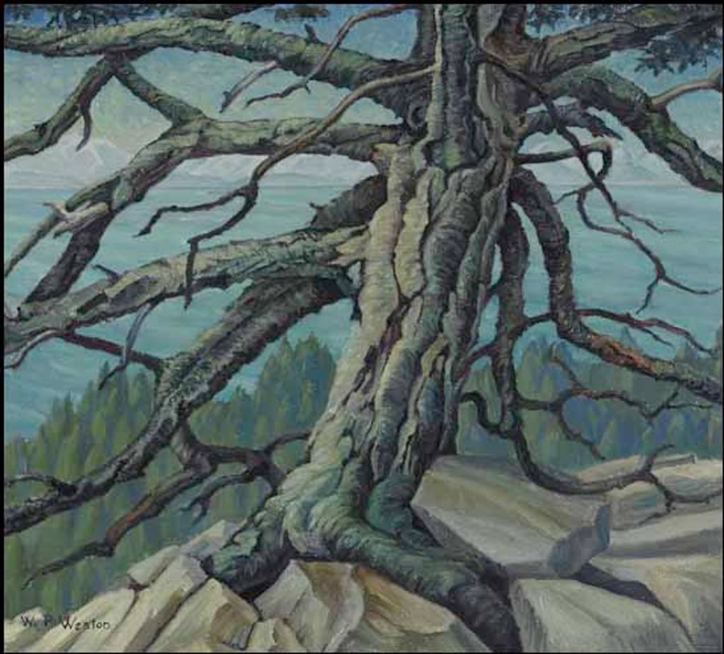 William Percival (W.P.) Weston (1879-1967) - Old Fir, Victoria, BC