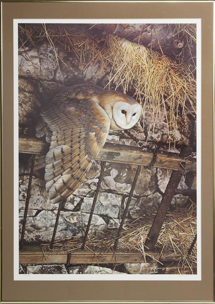 Brew - Untitled - Owl