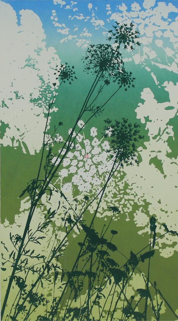 Rick Taylor (1950) - Queen Annes Lace