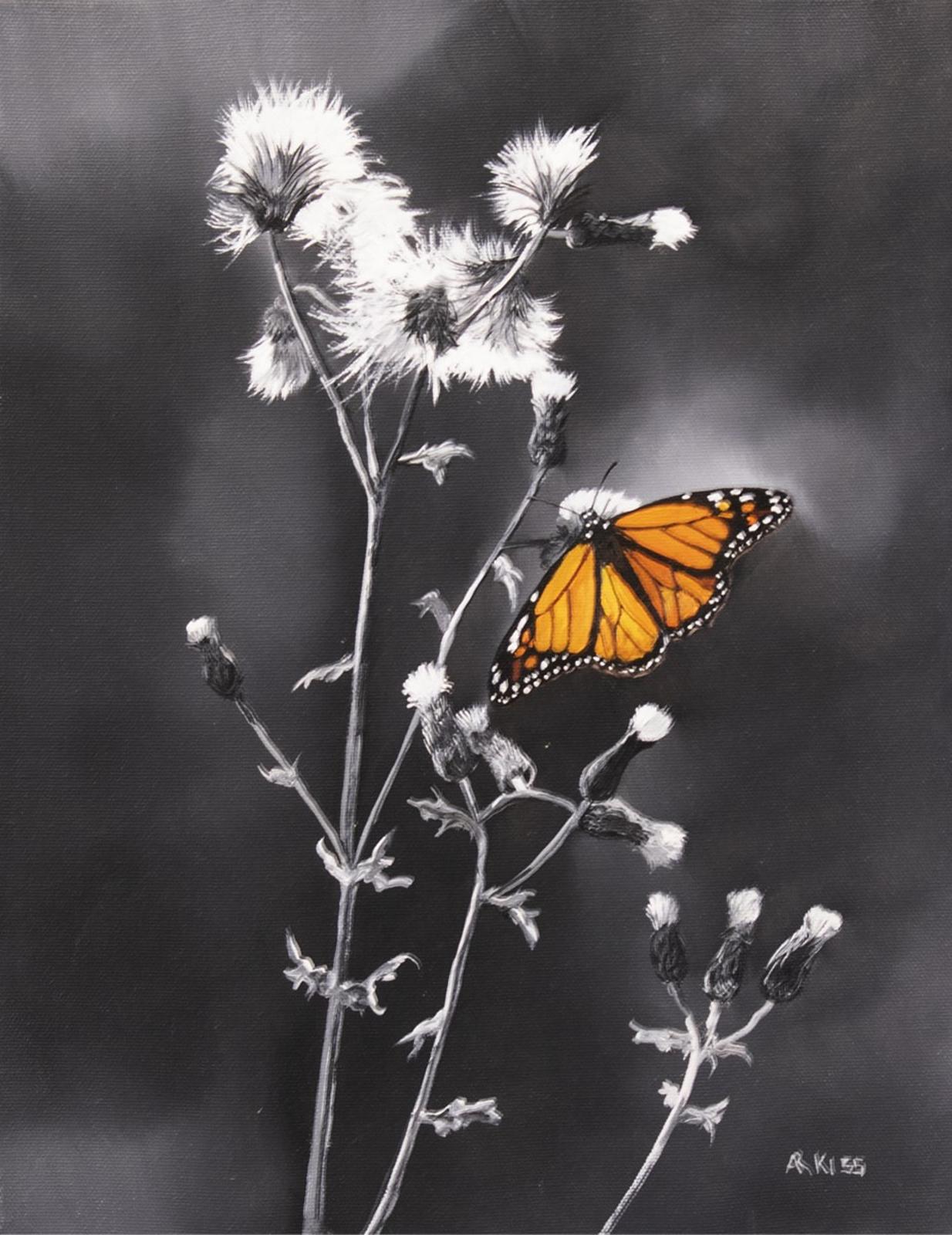Andrew Kiss (1946) - Monarch