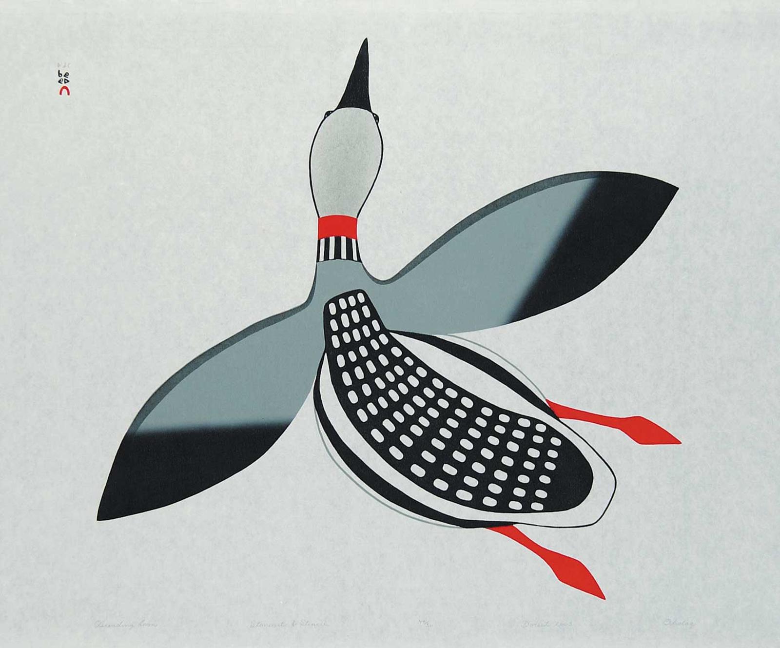 Mikkigak - Ascending Loon  #44/50