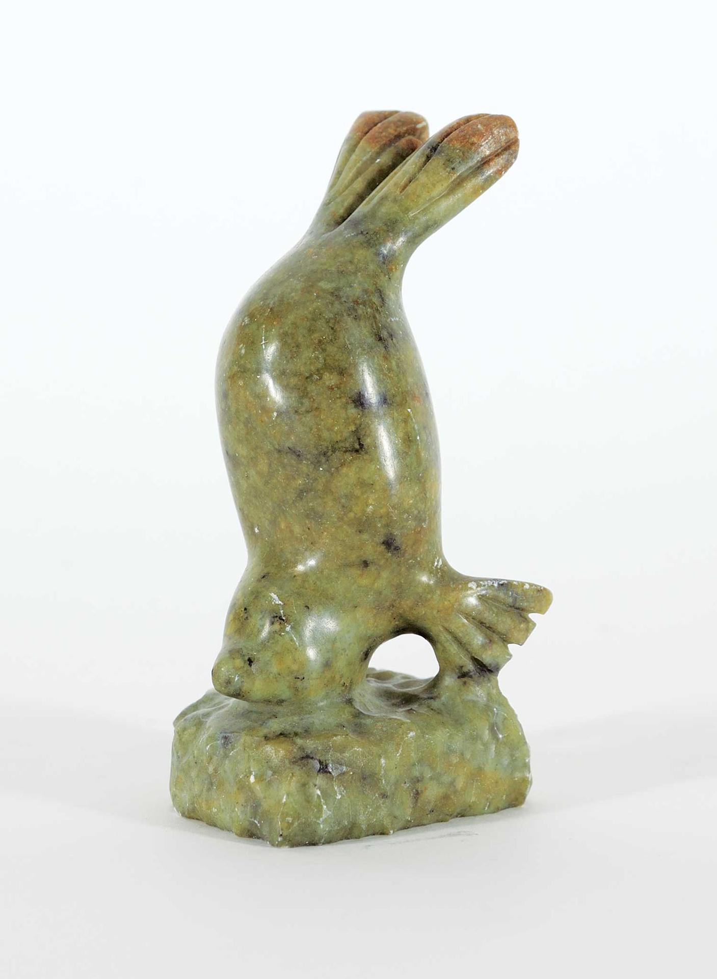Kovan - Untitled - Diving Seal