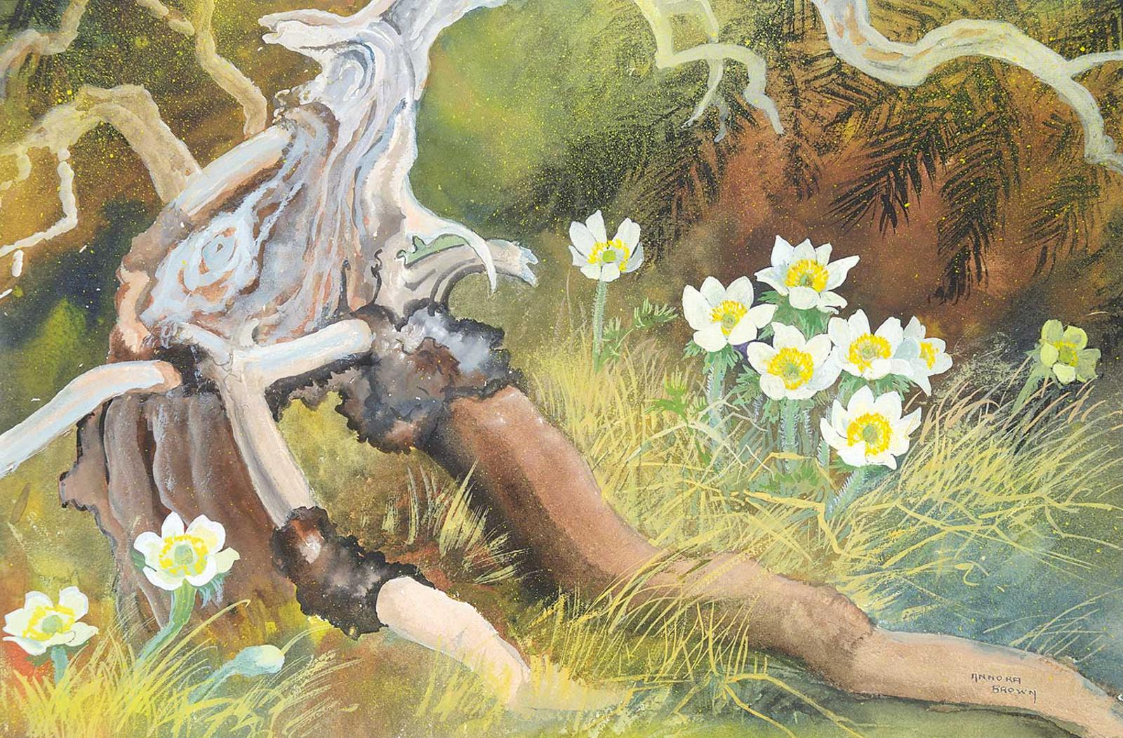 Annora Brown (1899-1987) - Untitled - Anemones