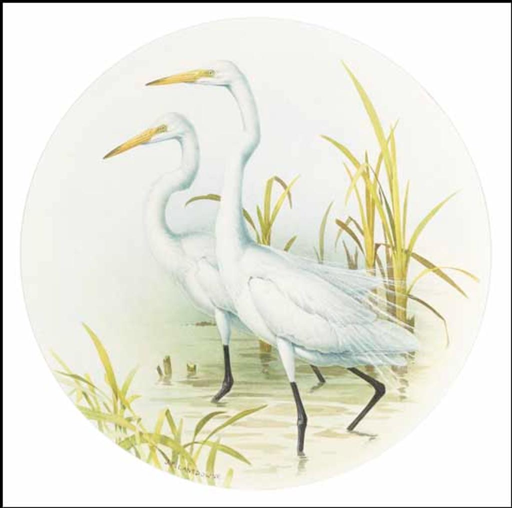 James Fenwick Lansdowne (1937-2008) - Two Egrets