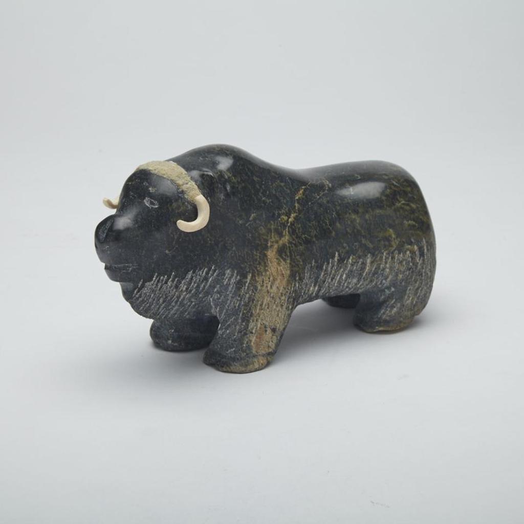 Kootoo - Musk Ox