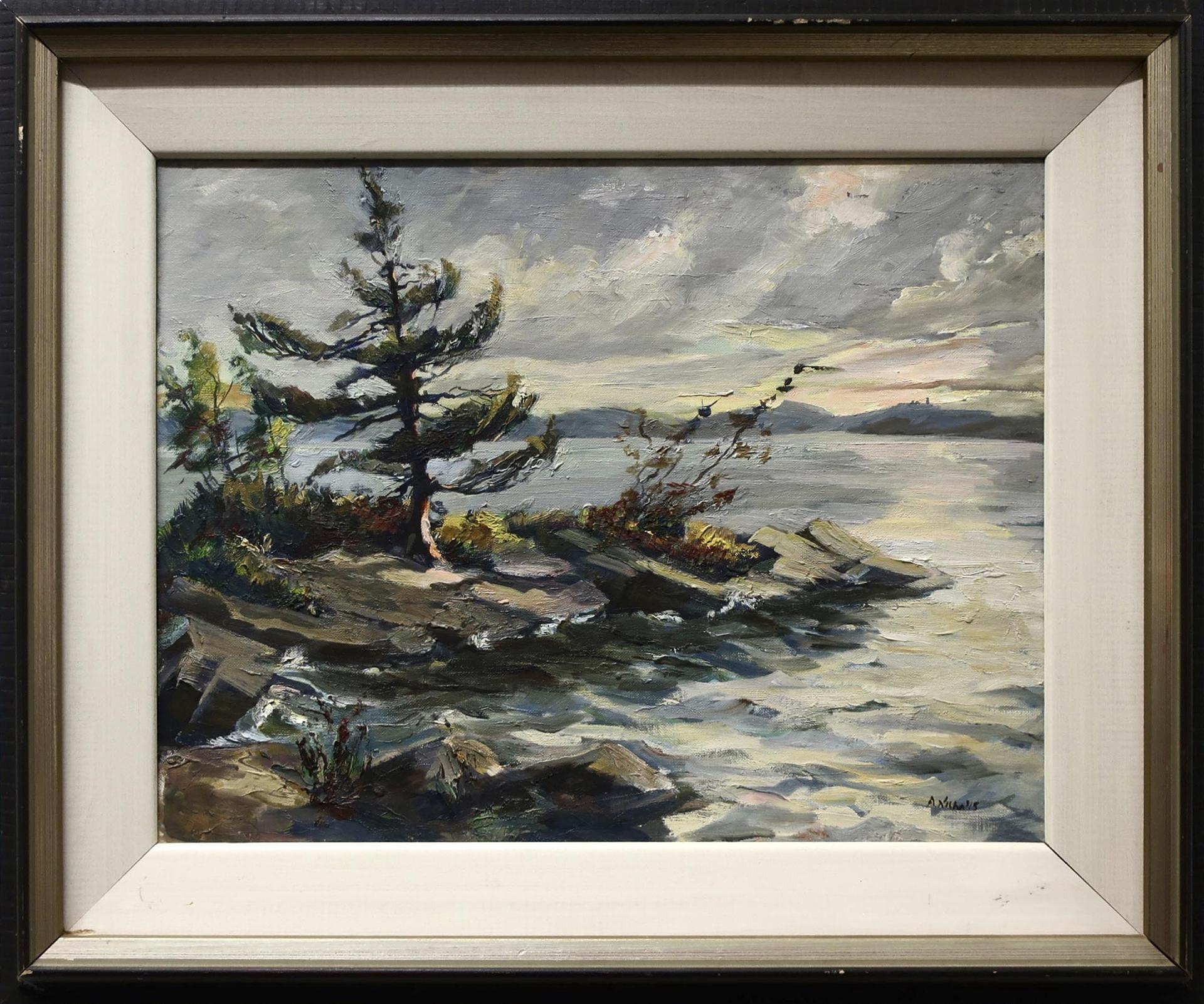 Anne Nicholls - Old Woman Isle, Lake Muskoka