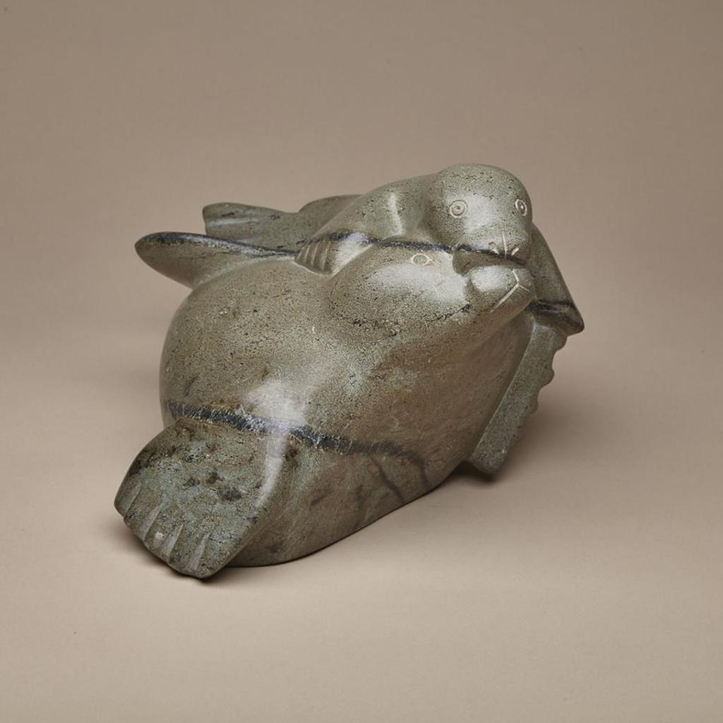 Kigua Kupuatu Matiasa - Seal With Young
