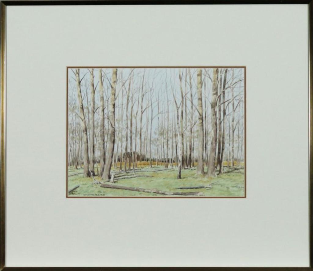 William Baptiste Baird (1847-1917) - 8.5  x 12 in