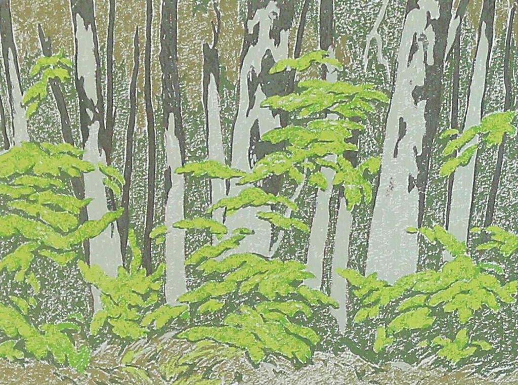 Alfred Joseph (A.J.) Casson (1898-1992) - Forest Edge