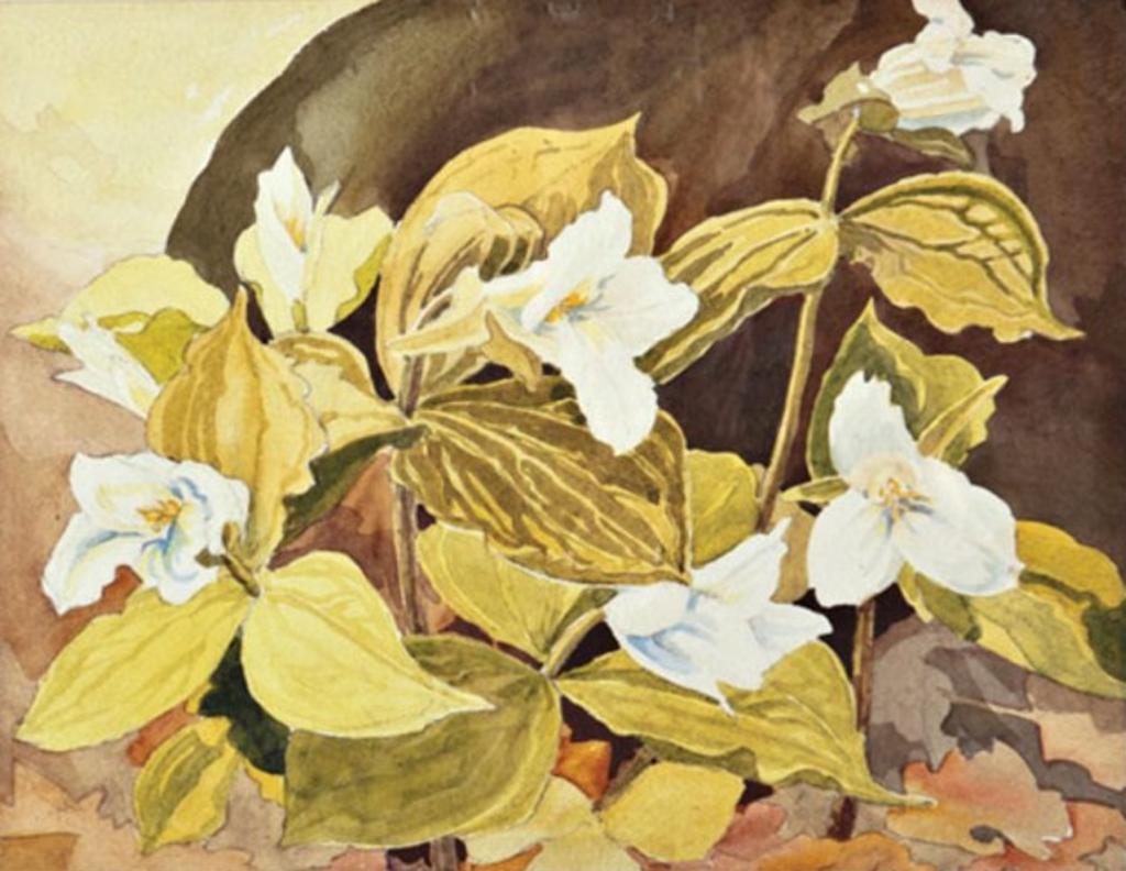 Edith Grace (Lawson) Coombs (1890-1986) - Watercolour, signe; signed, titled &