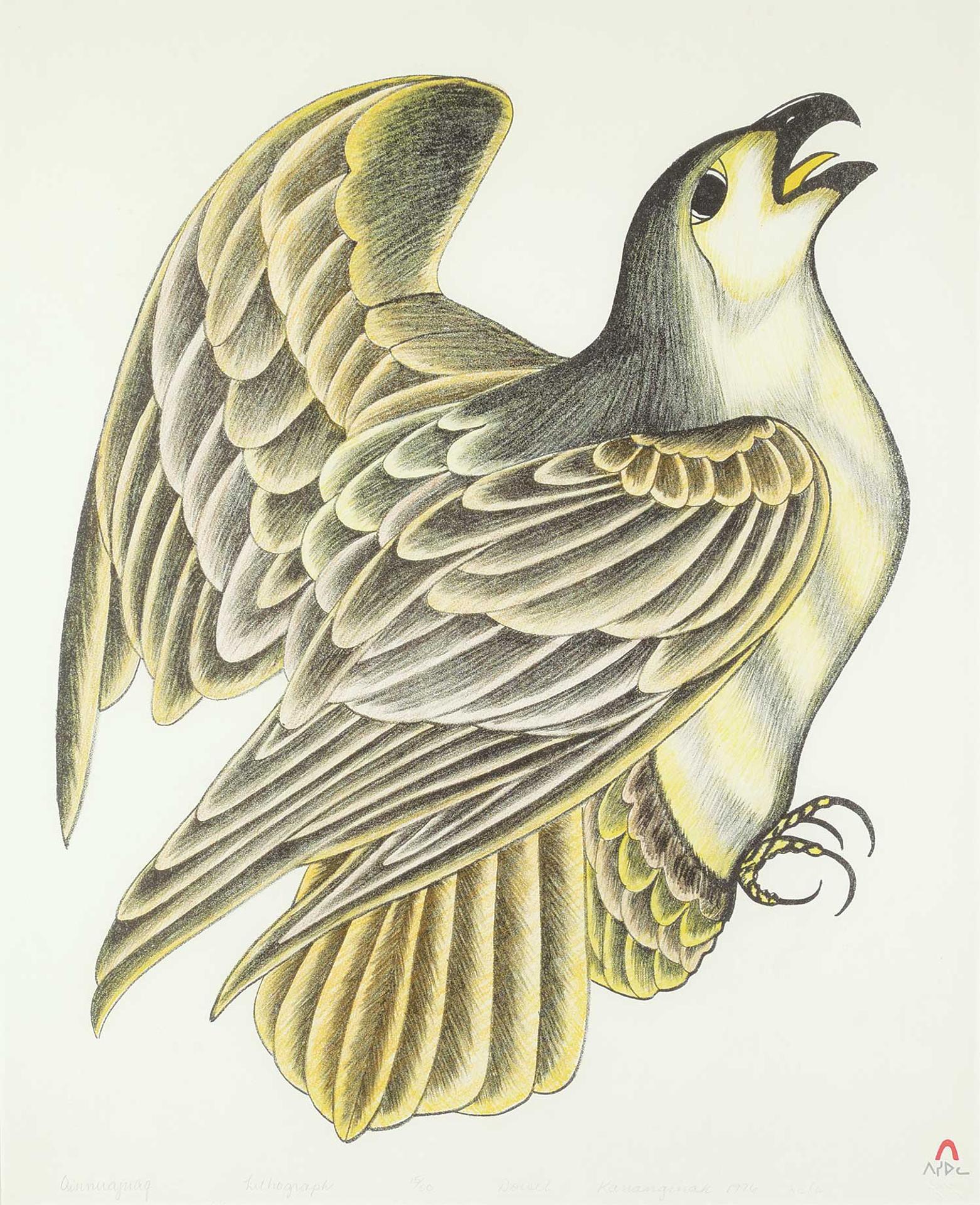 Kananginak Pootoogook (1935-2010) - Qinnuajuaq #15/50