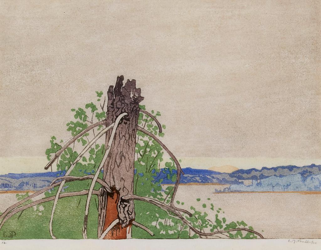 Walter Joseph (W.J.) Phillips (1884-1963) - The Stump
