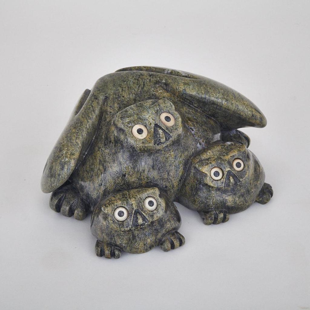 Johnny Manning (1956) - Owl With Young