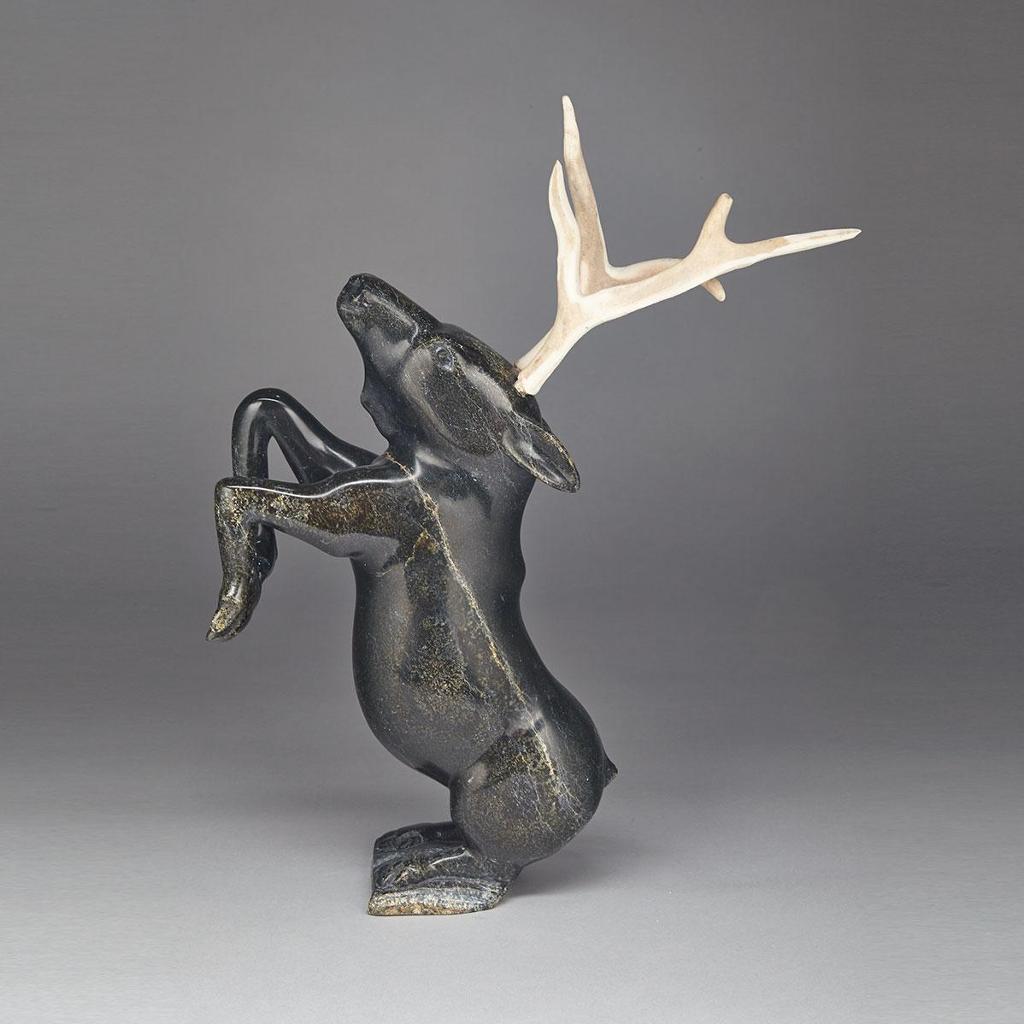 Aqjangajuk (Axangayu) Shaa (1937-2019) - Rearing Caribou