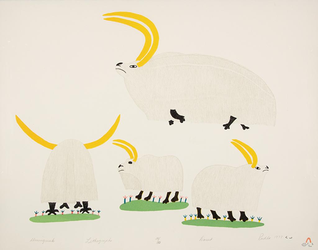 Pudlo Pudlat (1916-1992) - Umingmak