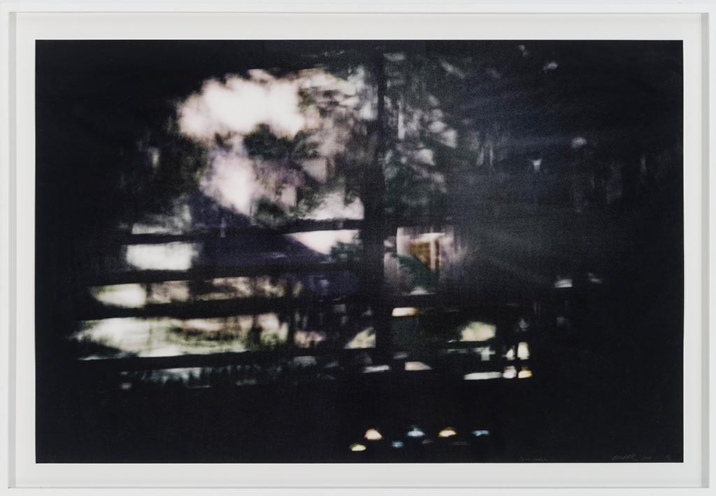 Richard-Max Tremblay - La vie cachée, 2014
