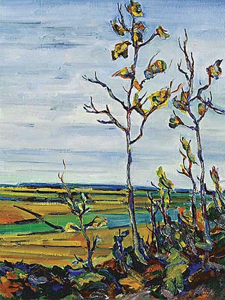 Sophia Podryhula-Shaw - Untitled - Late Day in August