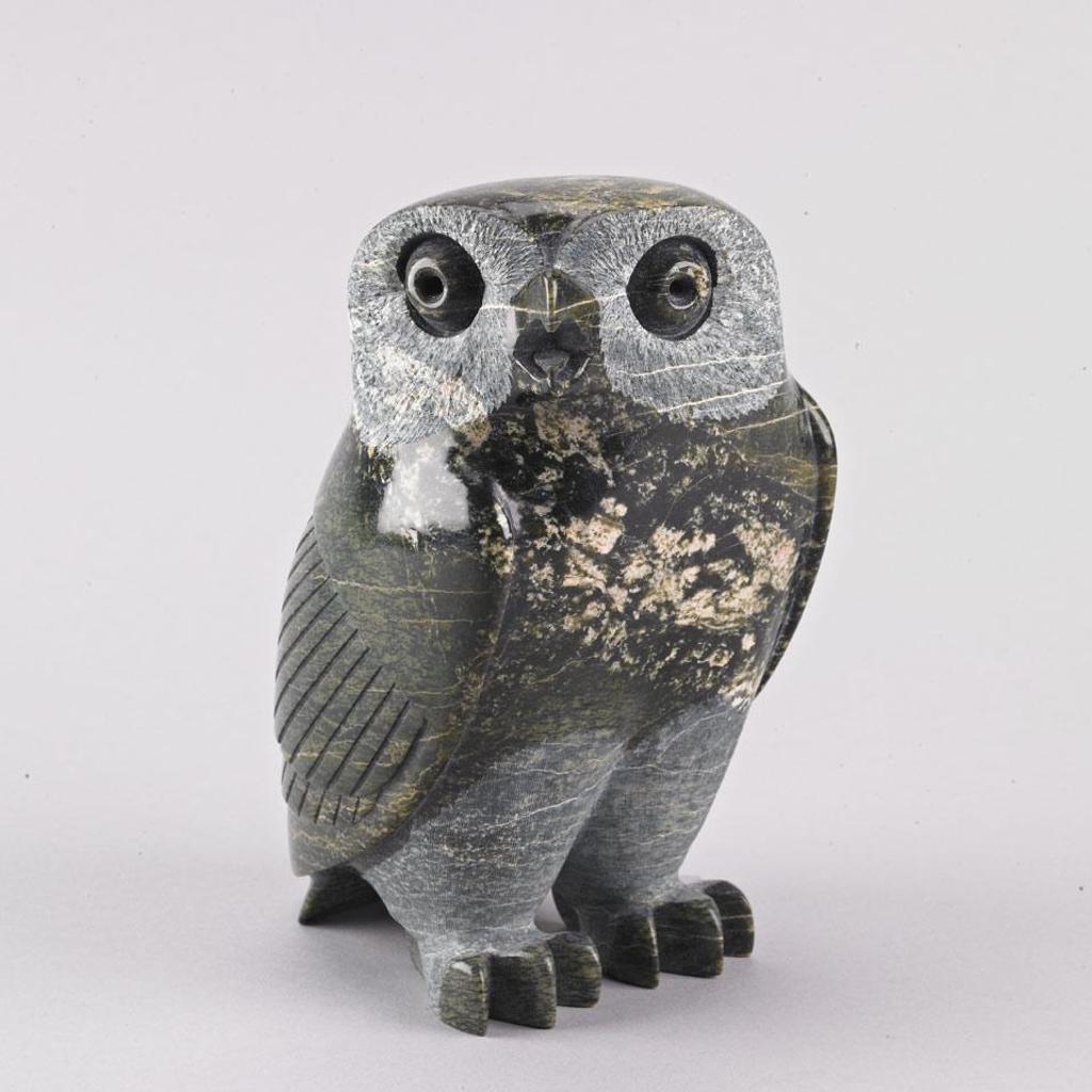 Pitseolak Qimirpik (1986) - Owl