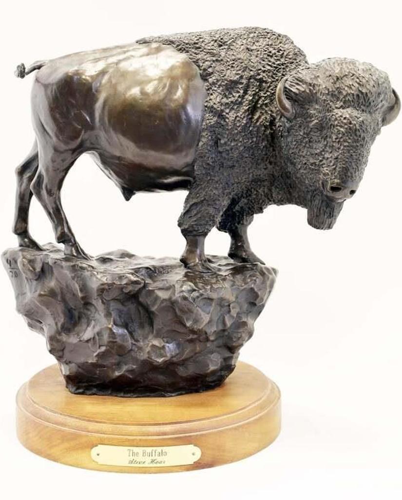 Steve Hoar - The Buffalo; 1980