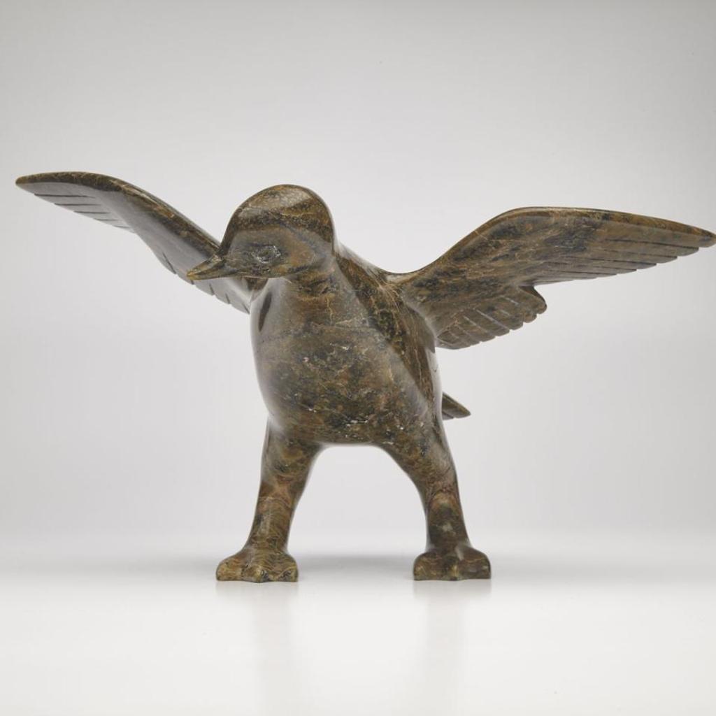 Adla Ashevak (1977) - Alighting Bird