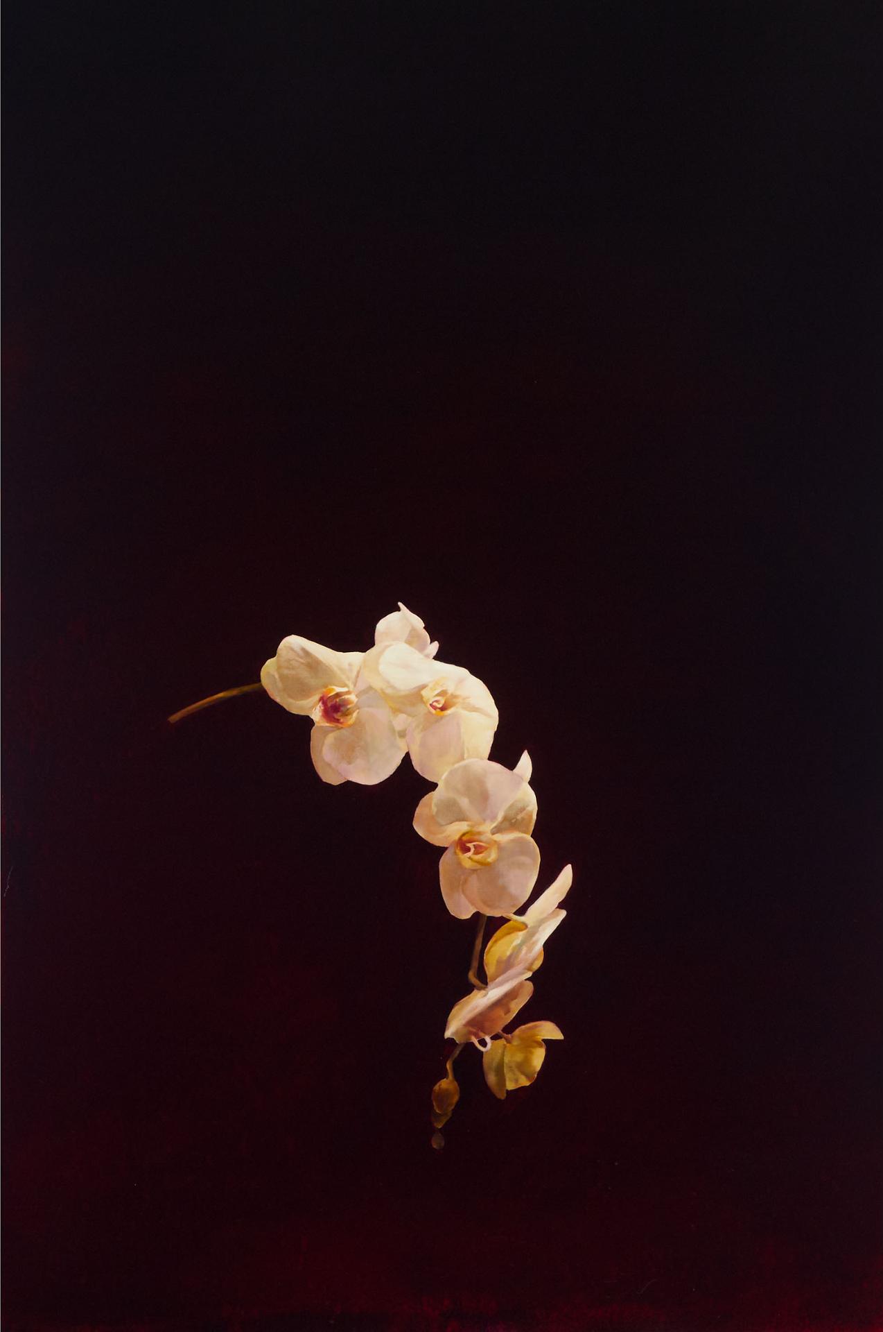 James Michael Lahey (1961) - ORCHID, 2004